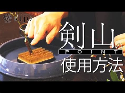 劍山用法|【劍山用法】撐起一座森林 